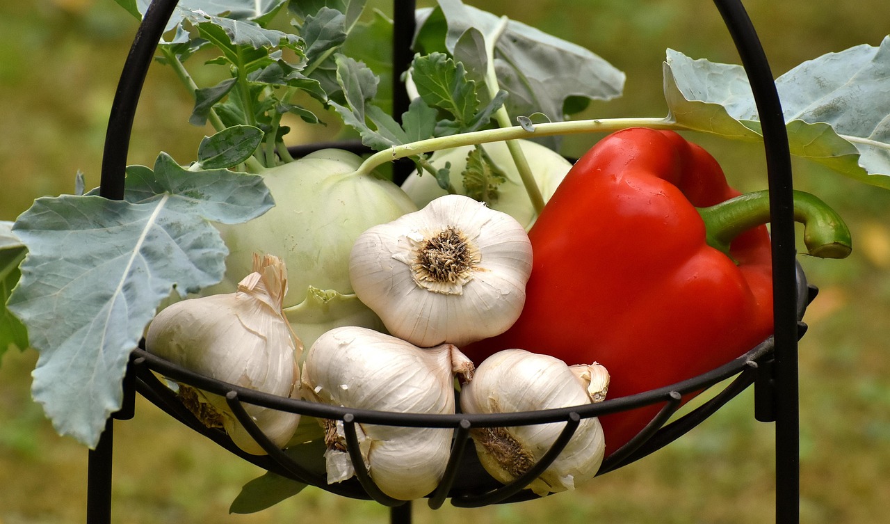 Wie bringe ich mein Kind dazu, mehr Gemüse zu essen?